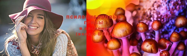 стаф Алзамай