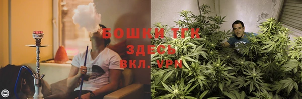 стаф Алзамай