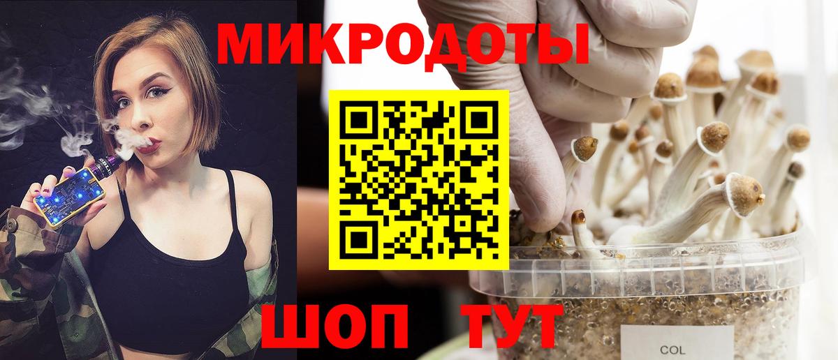 Псилоцибиновые грибы Psilocybine cubensis Электрогорск