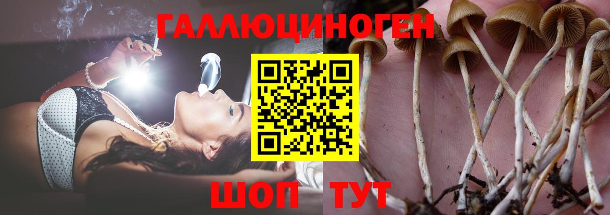 Электрогорск  Галлюциногенные грибы ЛСД  Вход с VPN 